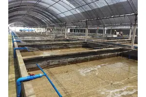 养殖场污水排放总堵泵？高扬程切割泵选型方案来了