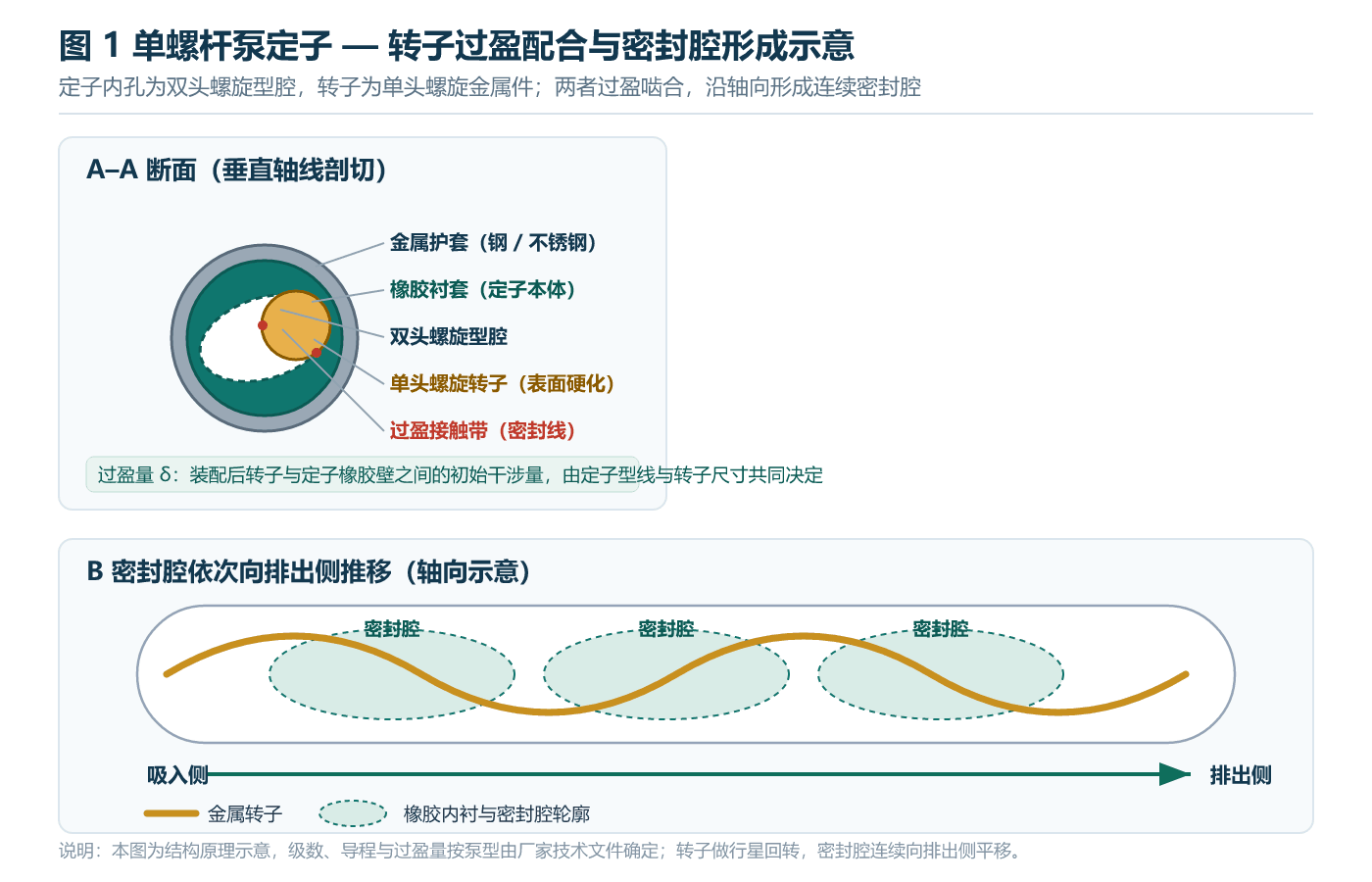单螺杆泵定子与转子过盈配合及密封腔形成示意
