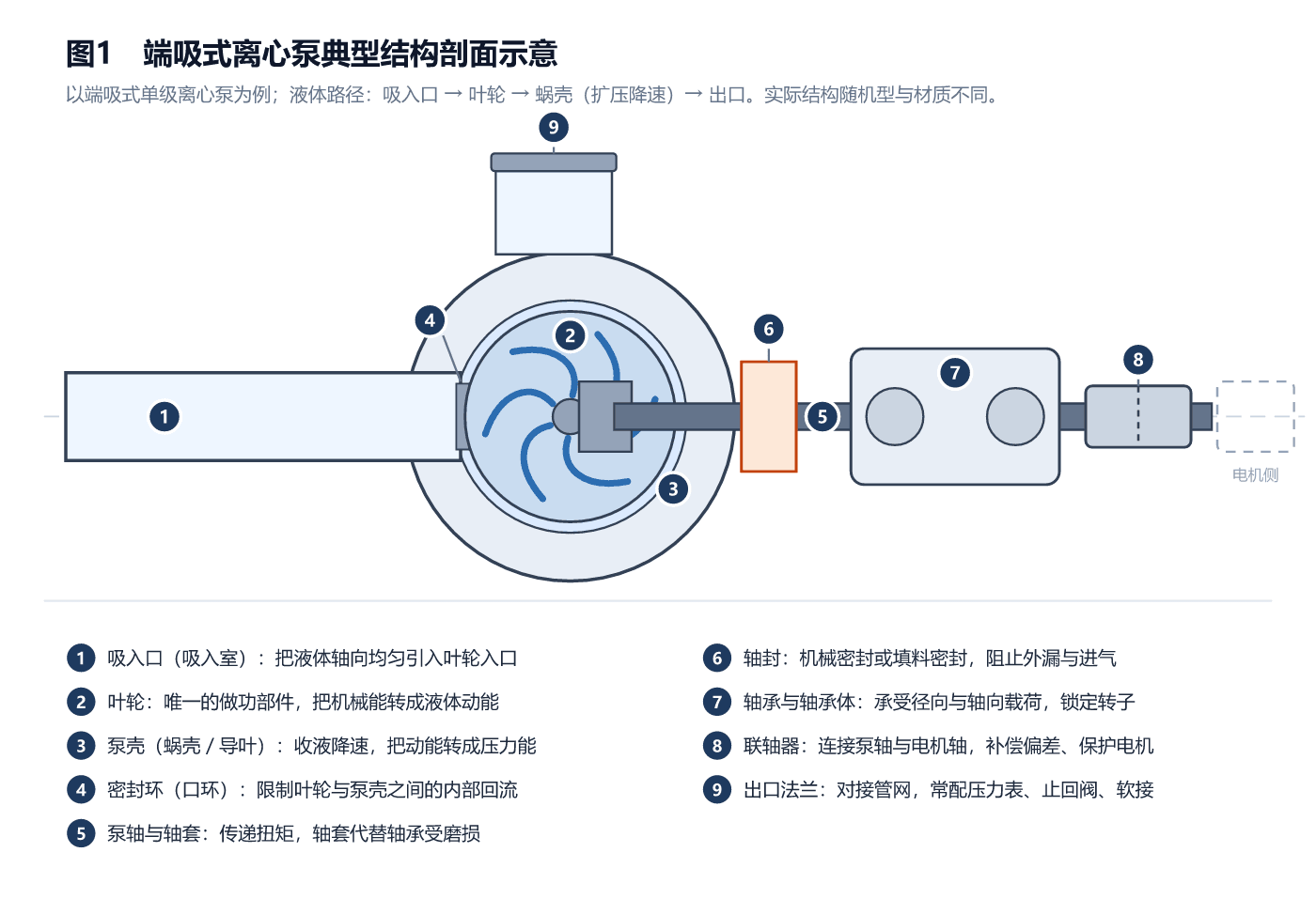 离心泵典型结构剖面示意